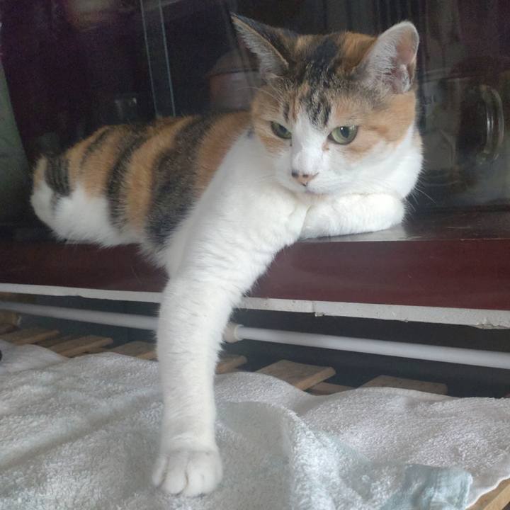 40a6bf81 2cea 4760 9771 3bc46ea5164e 1703992403031