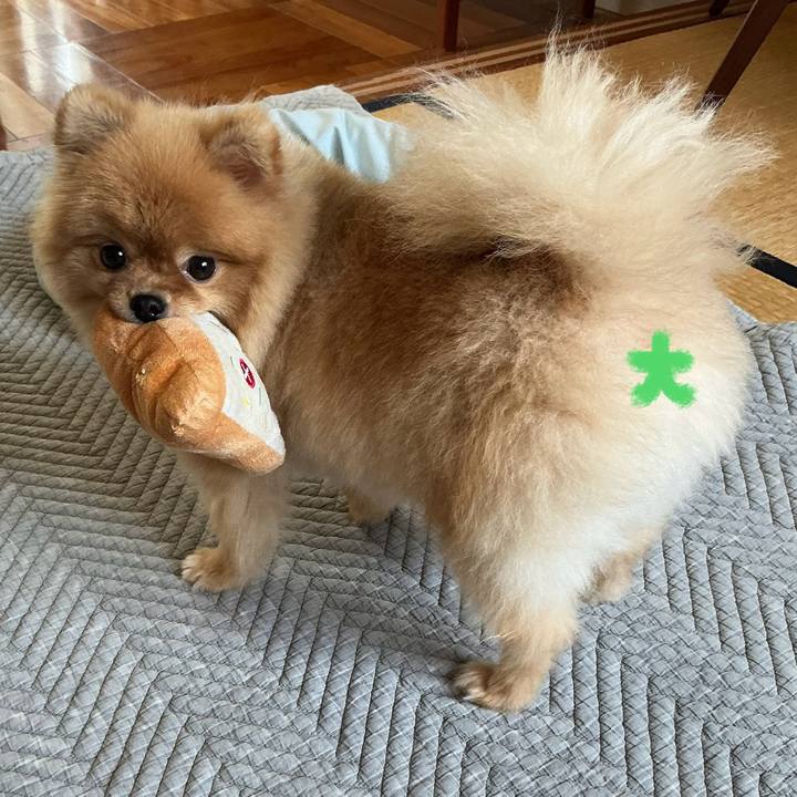 40a6e61c 1022 4d9c 8081 883c0660791a 1754731795521