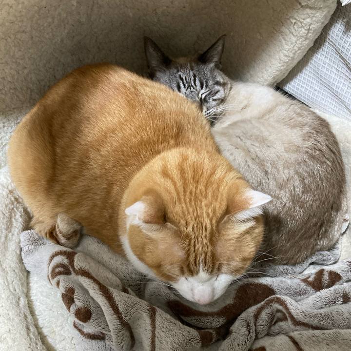 40a6fd58 b528 43c0 923c 42e1930c3249 1772464300924