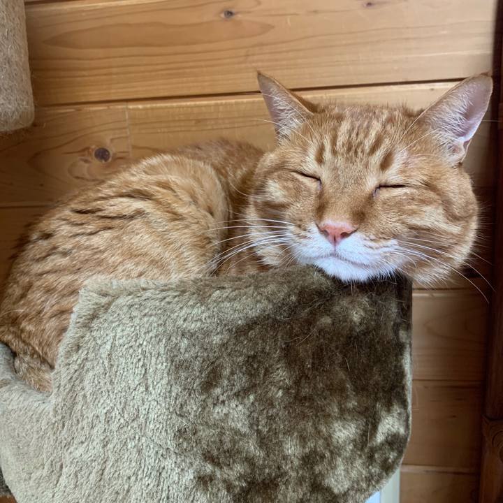 40a6fe20 2d8c 49c2 a737 bed733f9669b 1562288709660