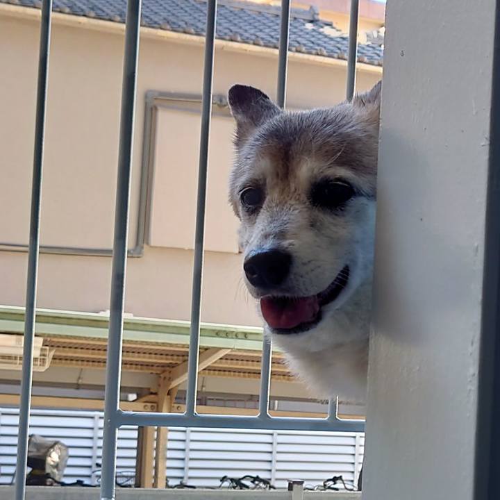 40a70ee0 800b 4243 aa1d c5cfd6fc95bc 1734338494710