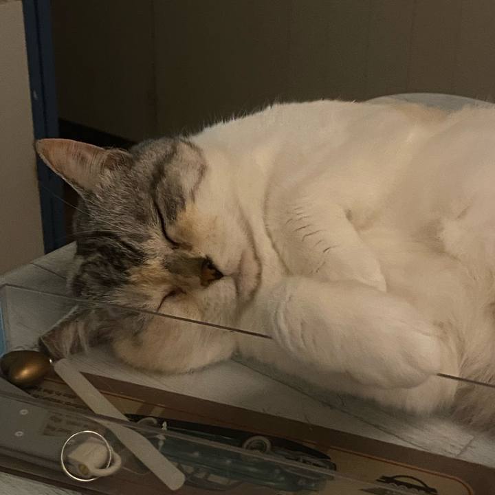 40a73404 960c 4cc8 b7c4 0fb059375001 1685772448290