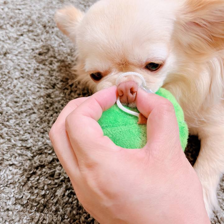 40a73ffa 9790 47bf 8497 8045e9225743 1654399657955