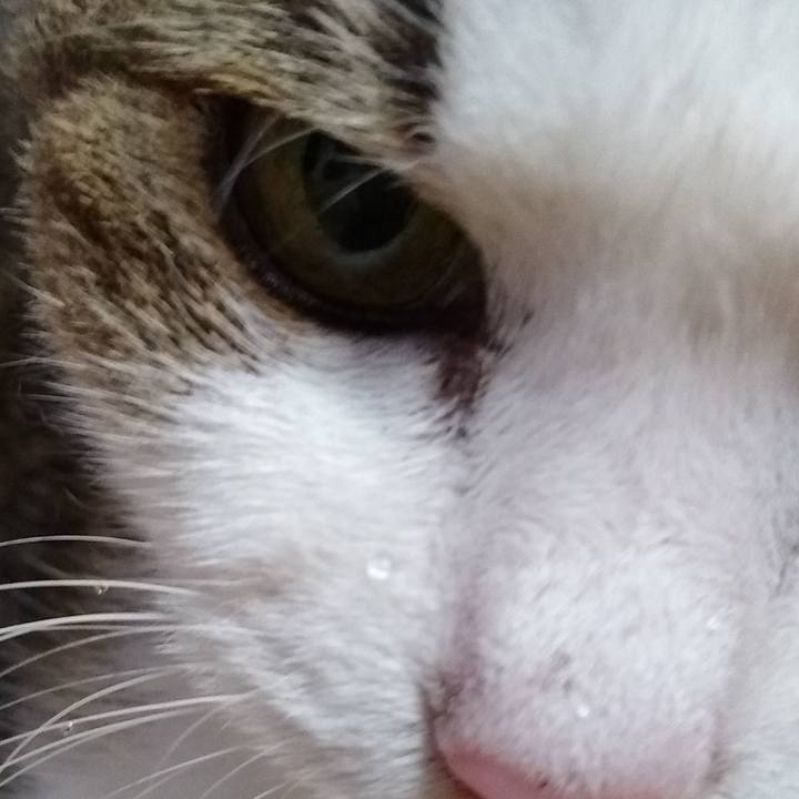 40a785b1 9e74 4fac 928c 1945a8b7dc54 1566395700433