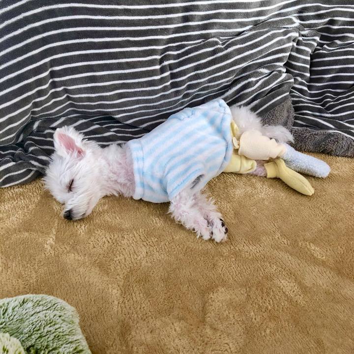 40a794aa 6015 4c38 9808 6dcc2c098300 1547425306936