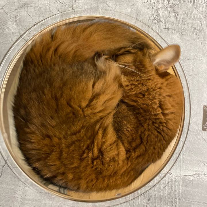 40a7af99 b282 4532 83a8 a4b2390f3892 1738153762655