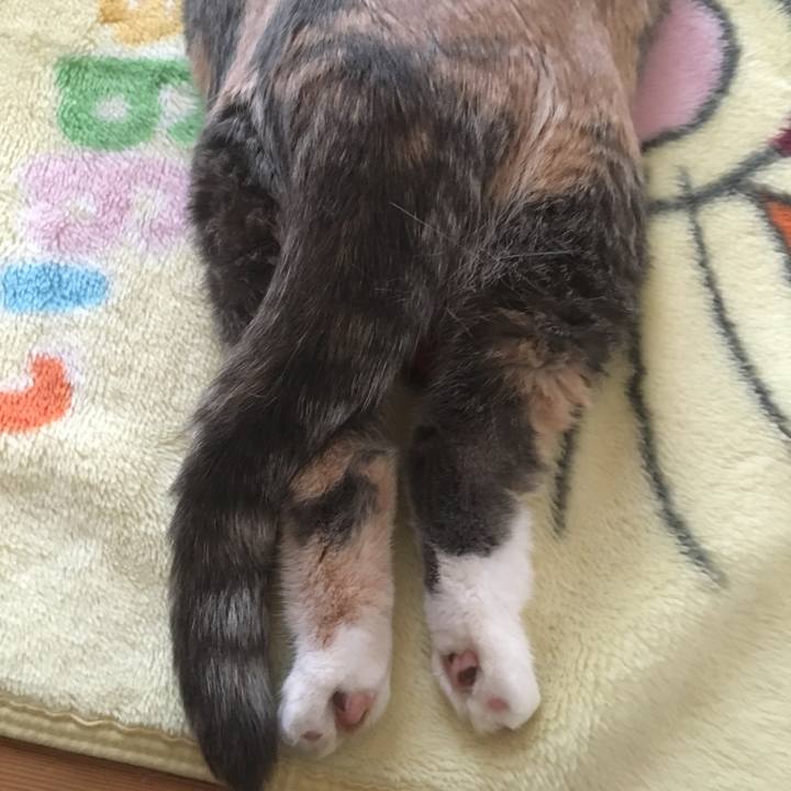 40a7d5d3 917a 472a be2b 78a76b3f1422 1544176937893