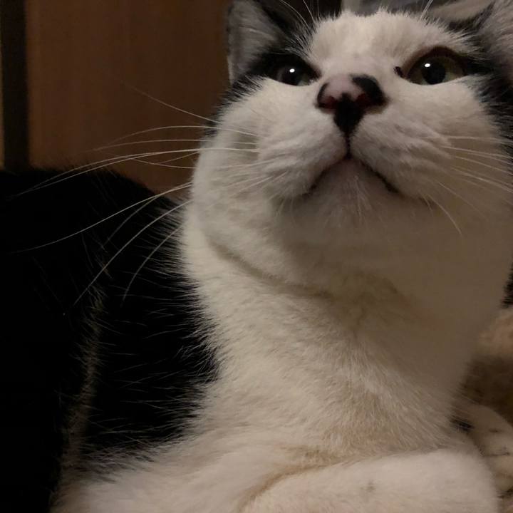 40a7f30d 514a 4d8c 9a43 f4b0b17d77d3 1546184920091