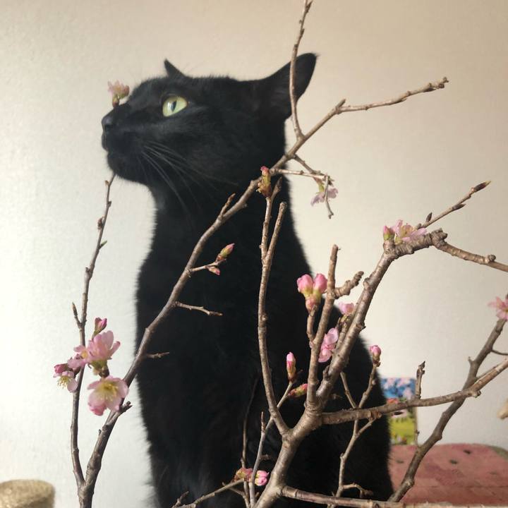 40a7f53b 020b 403e 9890 537af51b7335 1549240284097