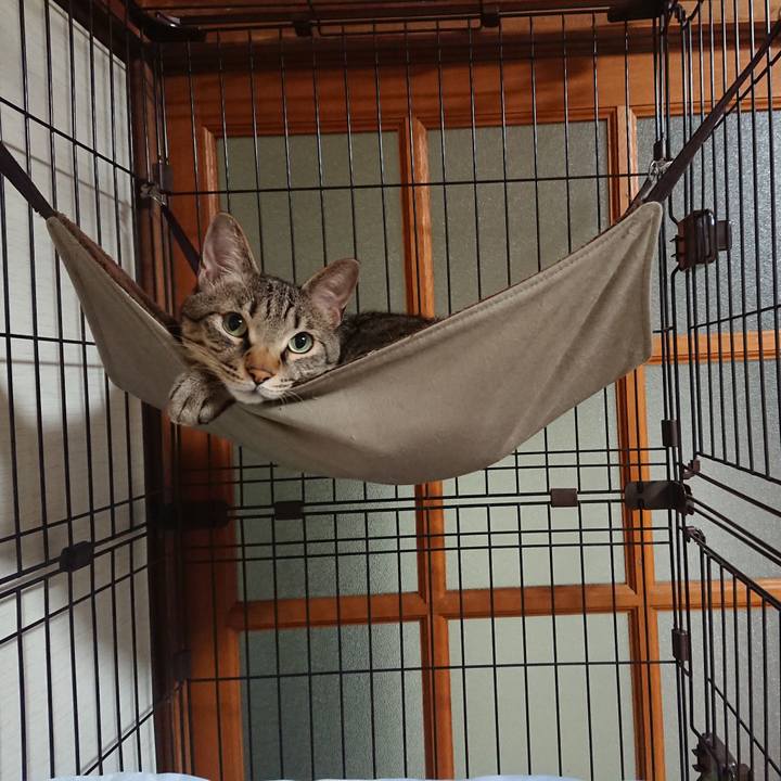 40a837b0 ced5 4331 9163 7effc8f83df9 1526352383961