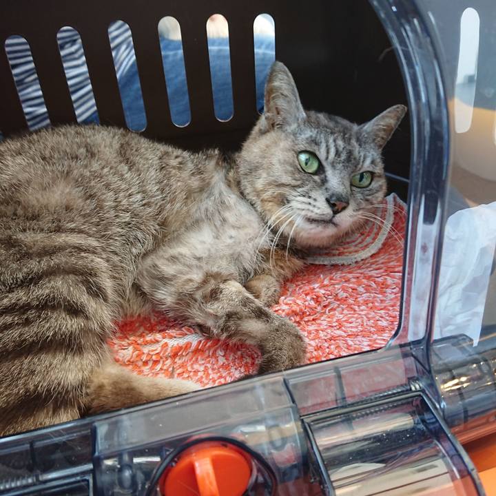 40a85ca6 4fca 40db a3a5 178940f4d677 1598060425364