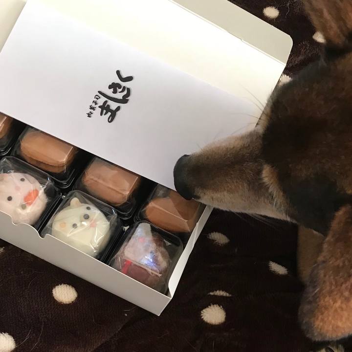 40a89014 afab 4426 ae9d 6481b3cfd397 1518593885997