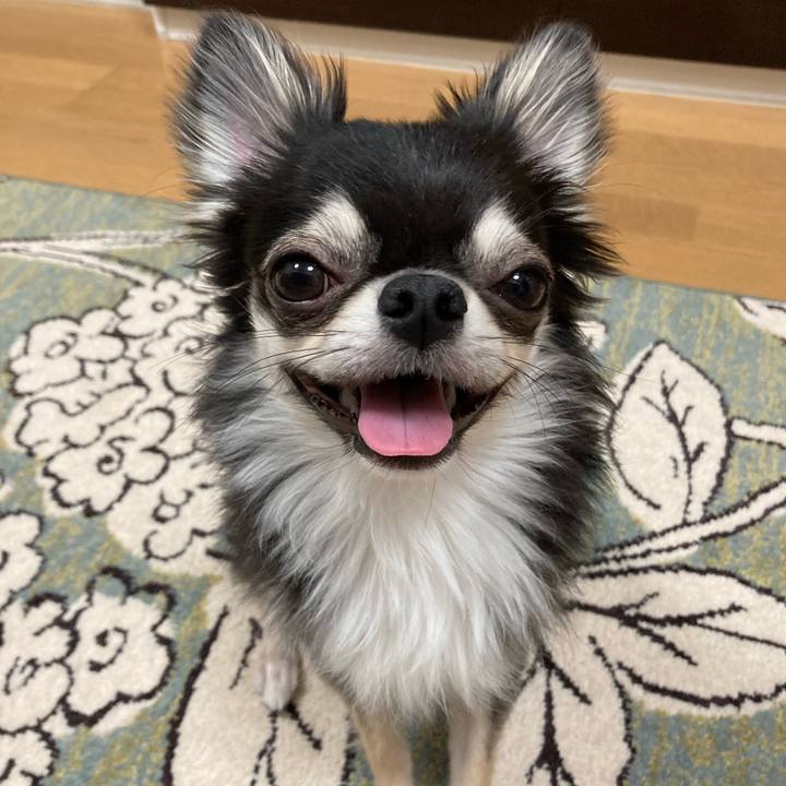 40a8d04e 0ff0 4b3f a484 4aff8f1a489b 1623589688728