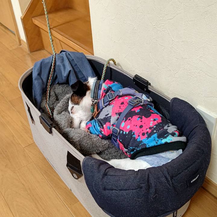 40a927b6 6770 464a b4fd 3722269d710b 1701008322415