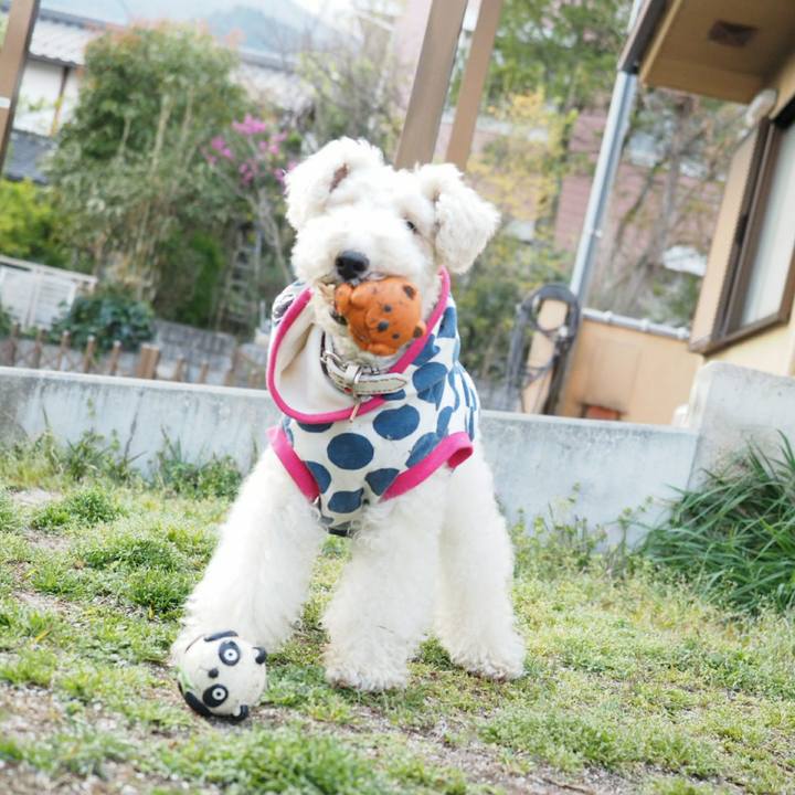 40a9925b 6a6a 462a 8d53 058f6ee64af5 1523273072886