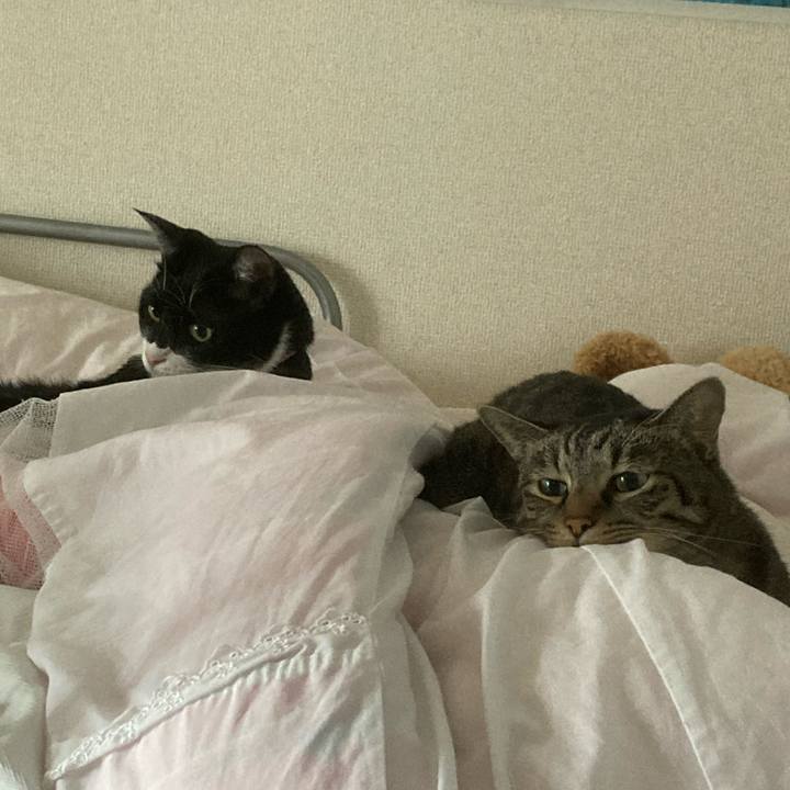 40a9b9d7 e8a0 4409 86b2 2b4a35d47d16 1602295063998