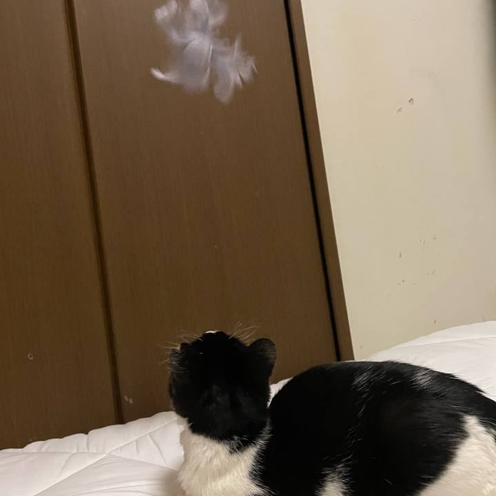 40a9bd5e 5f26 4d94 9268 de8805762f2f 1677860634428