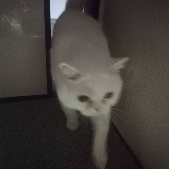 40a9cef1 c036 404d bb83 93e62b31541e 1670471110953