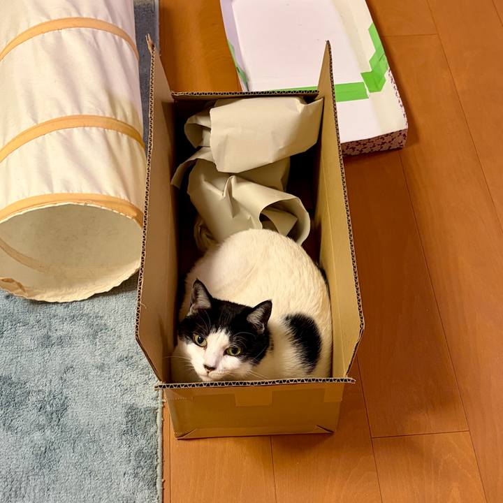 40a9e72a 7c99 4c45 93ac ae5fc97a59fe 1761835654246