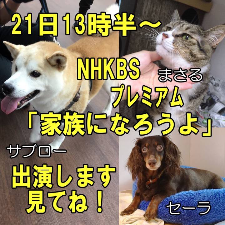 40aa219a 247a 492e 85fb 9bf30b5c68fd 1568712956272