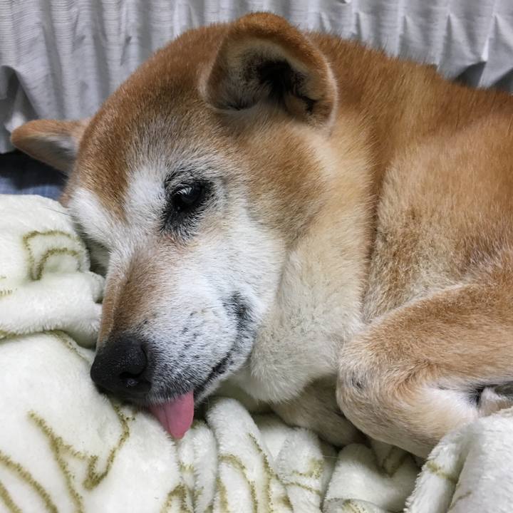 40aa6d3f d073 480a 8668 fed3f3ee635d 1521161744592