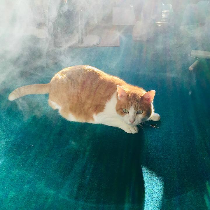 40aa9369 06d8 40b7 ad45 3d9af0b57175 1606727371364