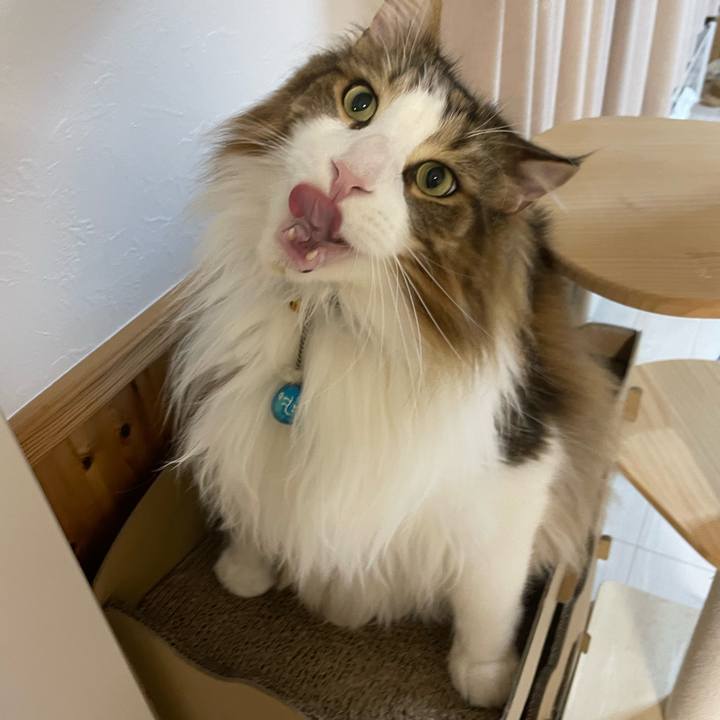 40aaa063 441e 411b 9fba a7d2ffef22f6 1714159717543