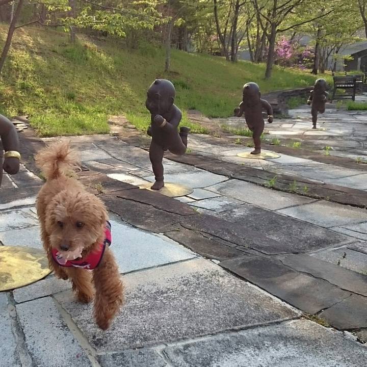 40aabf42 26fb 4bc5 8d46 5ea35892a6e0 1512338220555