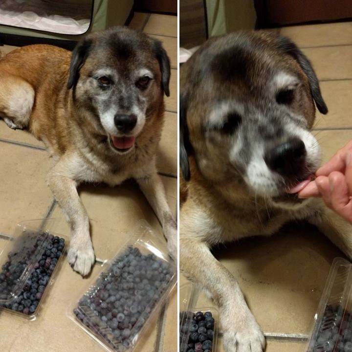 40aaf01b 7de0 4ff6 b656 408f376d5a85 1532948791696