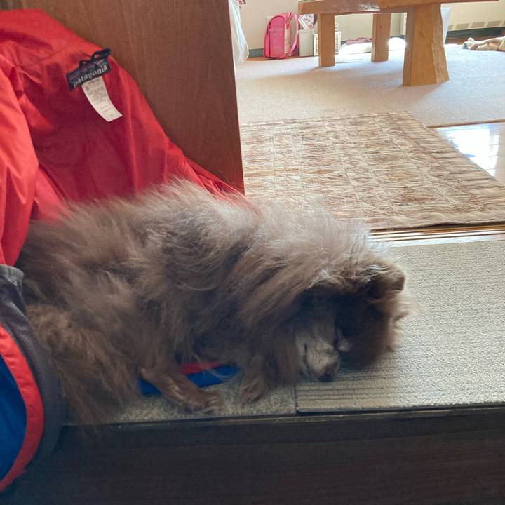 40aaf232 86c0 45bc 9531 19088a2dafe6 1713300285323