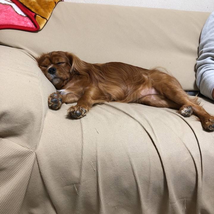 40aafc65 28af 4cf1 8b27 5714fe0b4a85 1572692586581