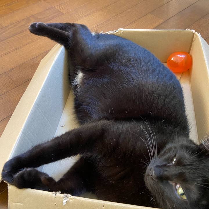 40aaff37 5bd7 49a1 b76e 608b278f61d8 1661511207310