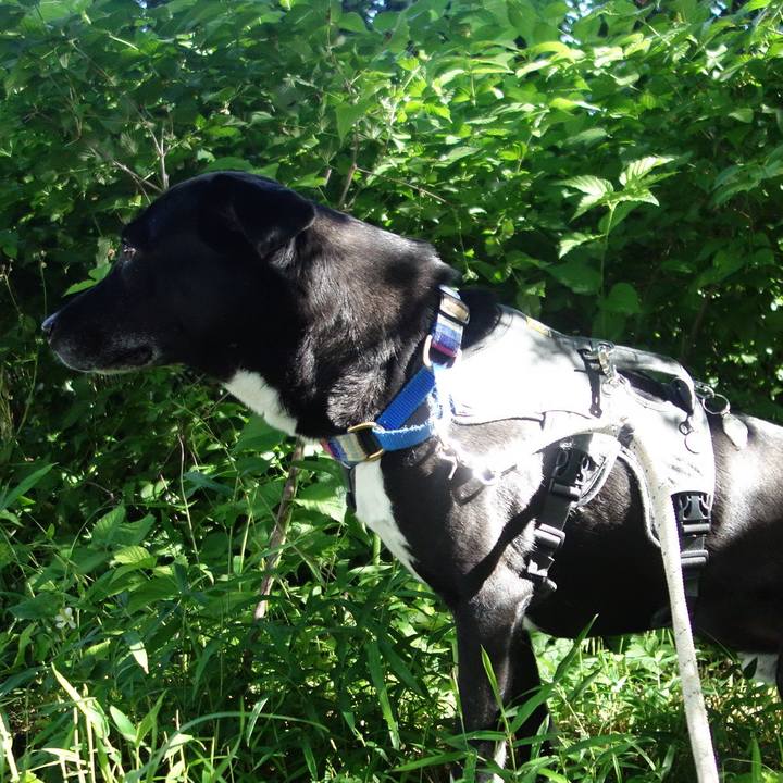 40ab0a2d 34cc 441a 9af3 40a65af7770a 1654044354335