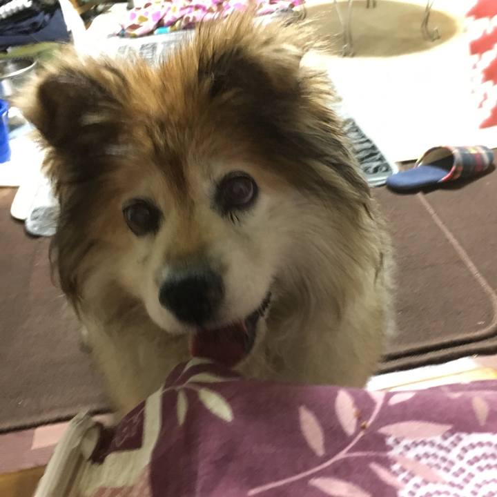 40abe5ad caf1 4959 8415 5ccb3fb3cd2c 1616692711322