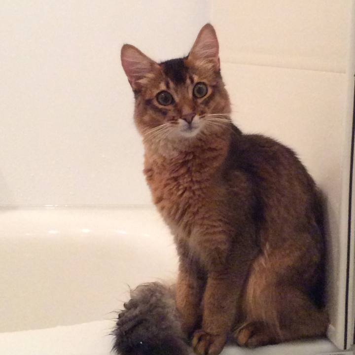 40ac0e39 9728 4bc3 945c 3c27fe52cd52 1566913595851