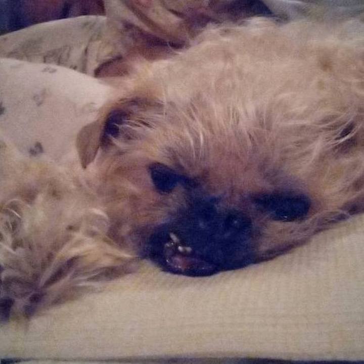 40ac1543 c618 4d18 80ee 18df88603cc3 1749596362582