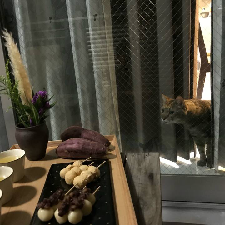 40ac3315 07fd 40ff 8e40 e12be8d1a8f6 1596616845542