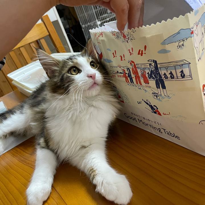 40ac5bf5 6887 4a20 a311 afe56ba3f937 1635414413680