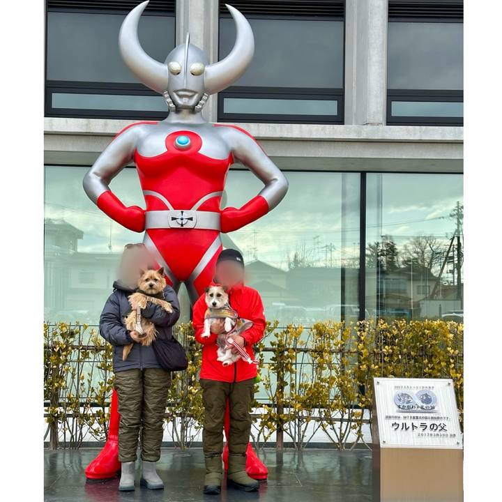 40ac6fb4 f84b 4910 a815 2b25fd8de32e 1738421158993