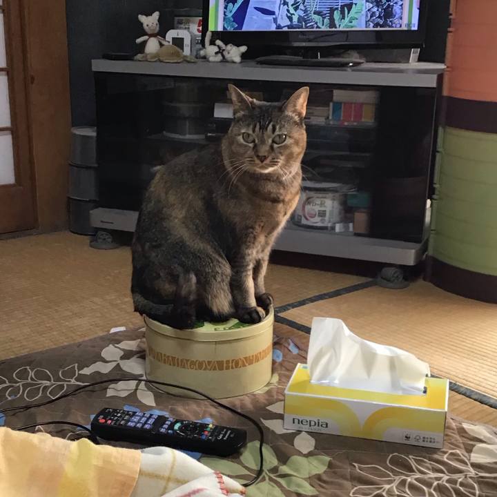 40ac7874 b398 4fc6 8fb2 e35a2550ce30 1762417214191