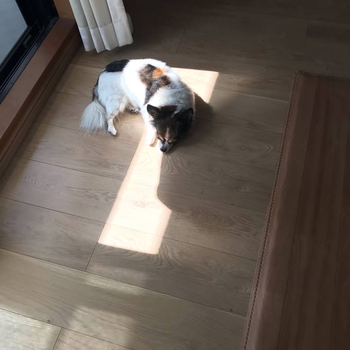 40ac8e21 420a 4e61 aa34 74746d6557f8 1601263568520