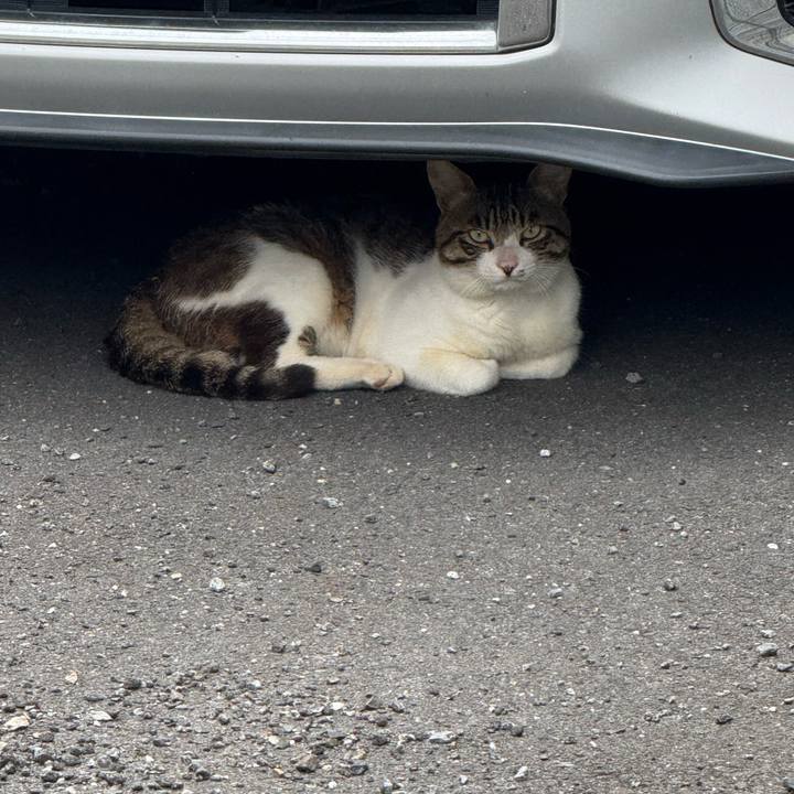 40acd935 3632 48c8 94ad 2895922cd569 1752547271750