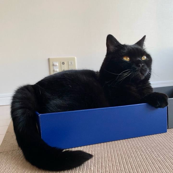 40ace576 c075 4578 a6db d3d8177d2aec 1655111173464