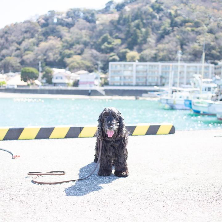 40ace5ab a482 43b8 943d 9d5ef3caadfa 1555141704242