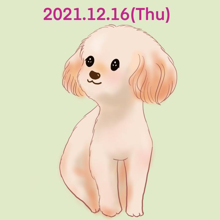 40ad05ca 1ffc 4a64 9390 30ff71d5ec61 1639644712415