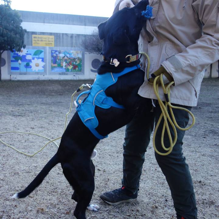 40ad479c 8557 4a0d b996 4f29ecc8a775 1613519139220