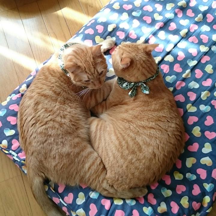 40ad7361 cc6d 4878 91d8 737a09173908 1569322717723