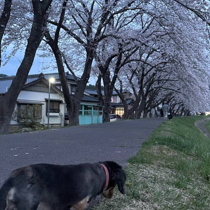 40ad82ae b2a3 44b5 b8ad d6d69d5a9c69 1649845369760