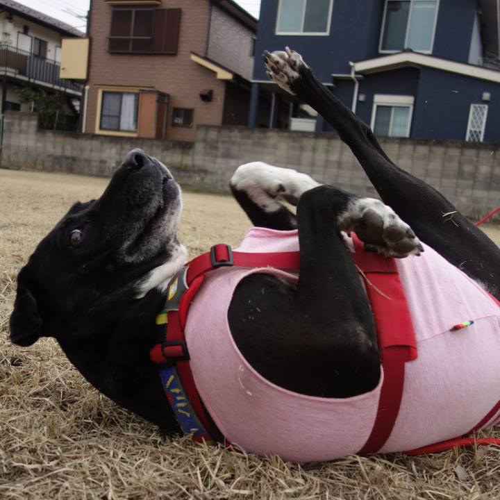 40ad9b5d 73b2 4435 a5de 9372d55bb985 1677117061826