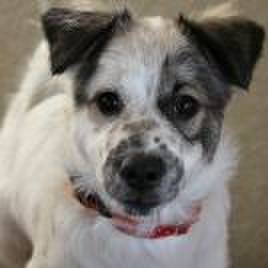 40ad9c1f 3827 404f a10d bd1fd4383c8d 1619181448397